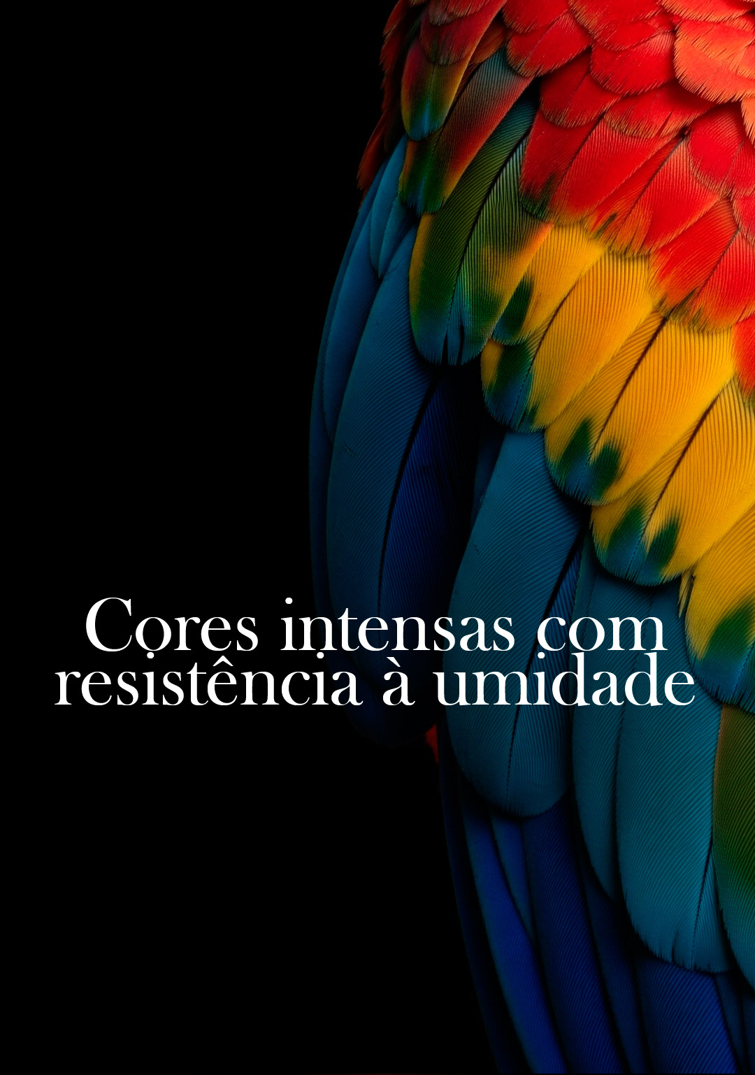 grafica-cores-intensas