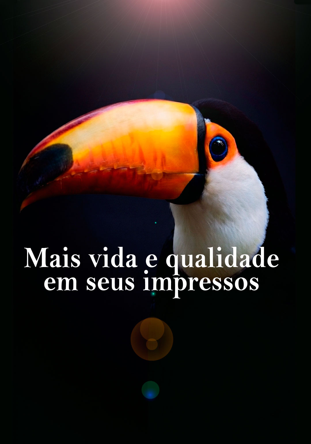 Qualidade em Impressos